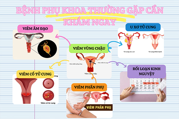 Sự nguy hiểm từ các căn bệnh phụ khoa thường gặp cần khám ngay