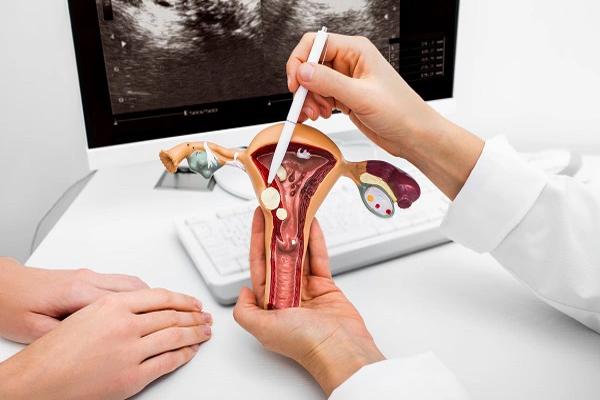 Khám bệnh phụ khoa là quá trình thăm khám, kiểm tra toàn bộ cơ quan sinh dục phụ nữ